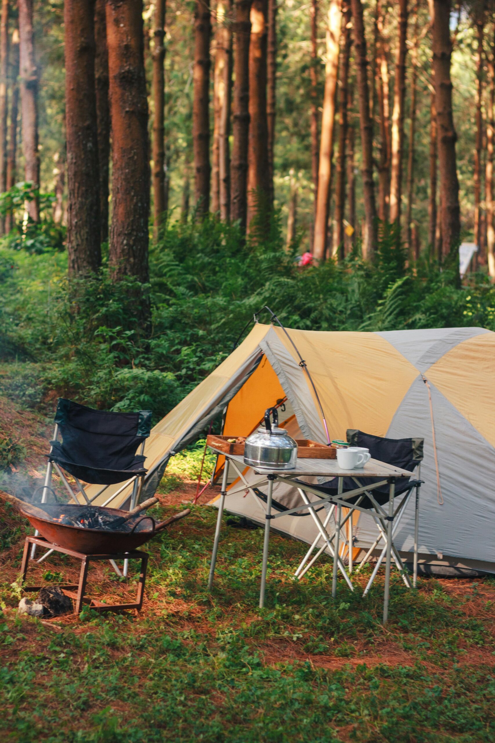 Folding Camping Relax Chair 6